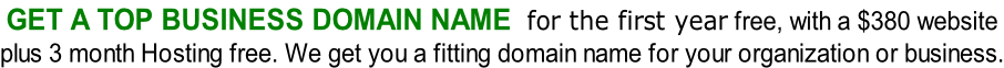 Get a top business domain name  for the first year free, with a $380 website  plus 3 month Hosting free. We get you a fitting domain name for your organization or business.